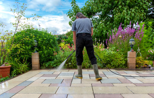 Best Animal Enclosure Cleaning  in Ironde, AL